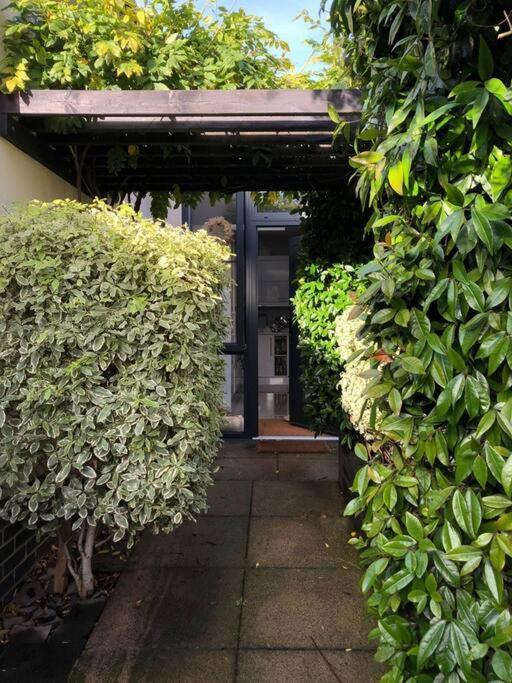 Private Garden Oasis In Central ブリストル エクステリア 写真